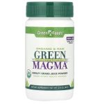 Green Foods, Green Magma, Barley Grass Juice Powder, 2.8 oz (80 g)