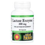 Natural Factors, Lactase Enzyme, 300 mg, 60 Capsules