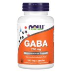 NOW Foods, GABA, 750 mg, 100 Veg Capsules